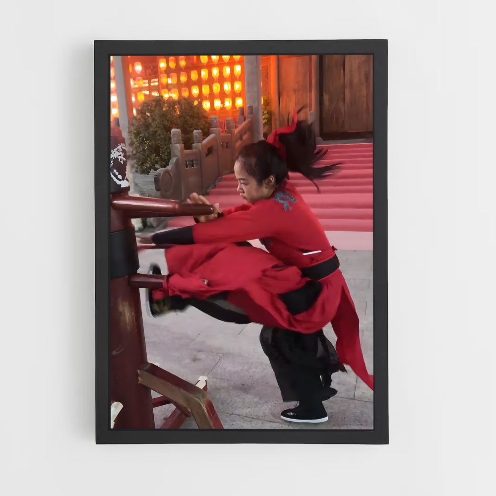 Poster Wing chun (vue 2)